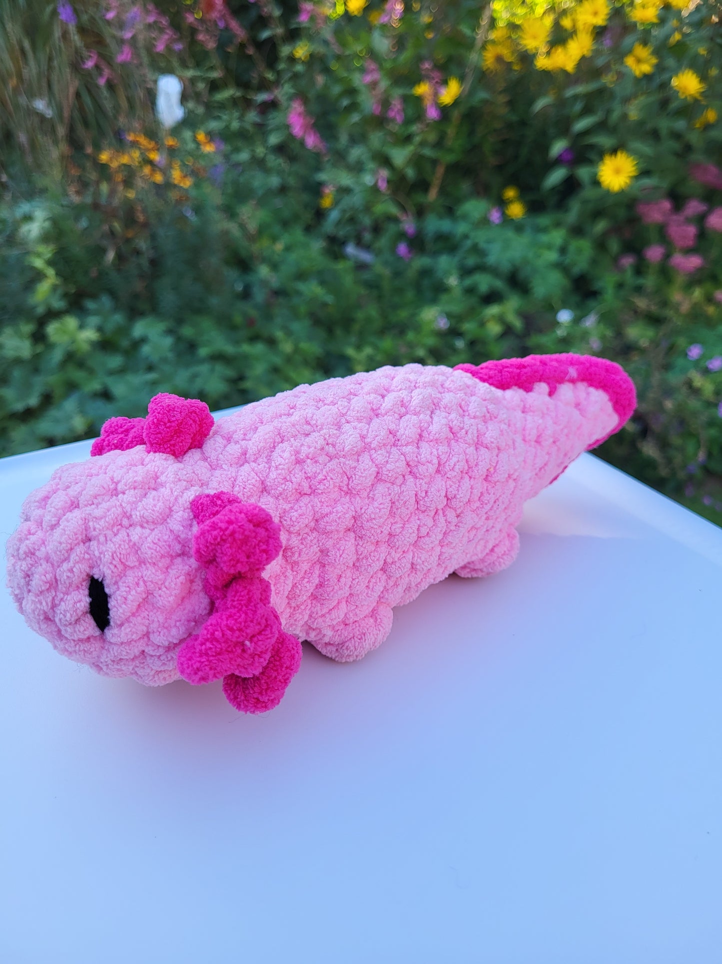 Axolotl