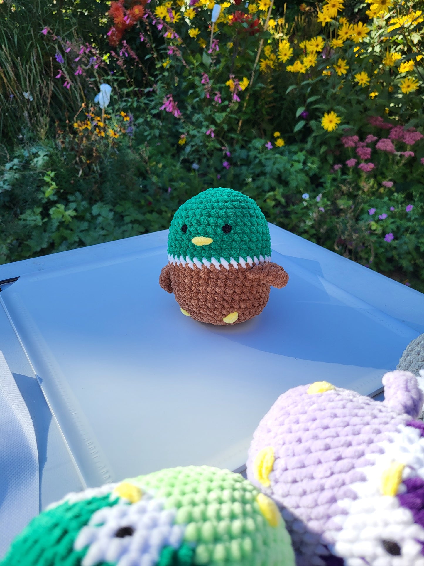 Chubby Duck - rooporium