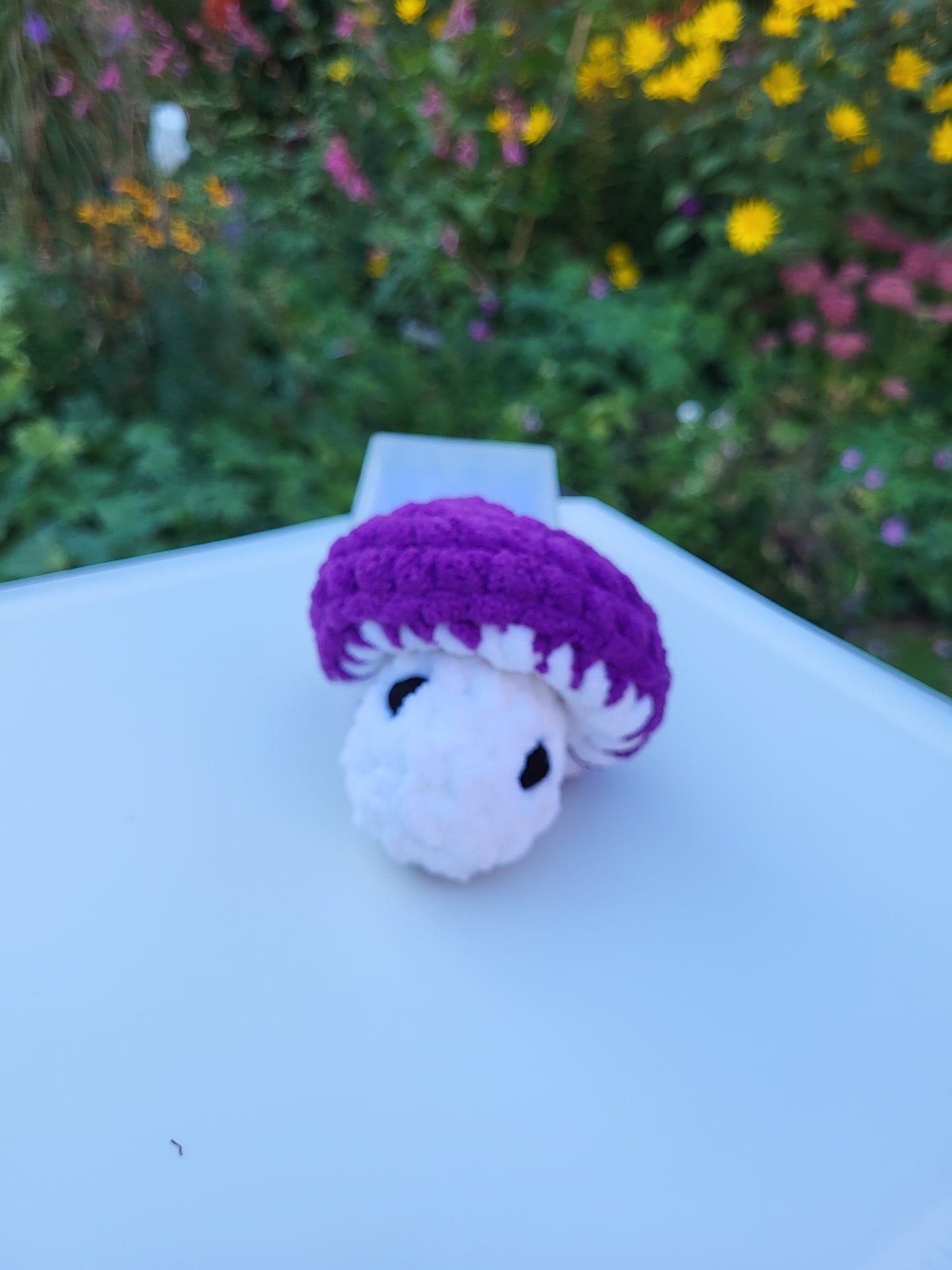 Bluebelle Gifts Pop it